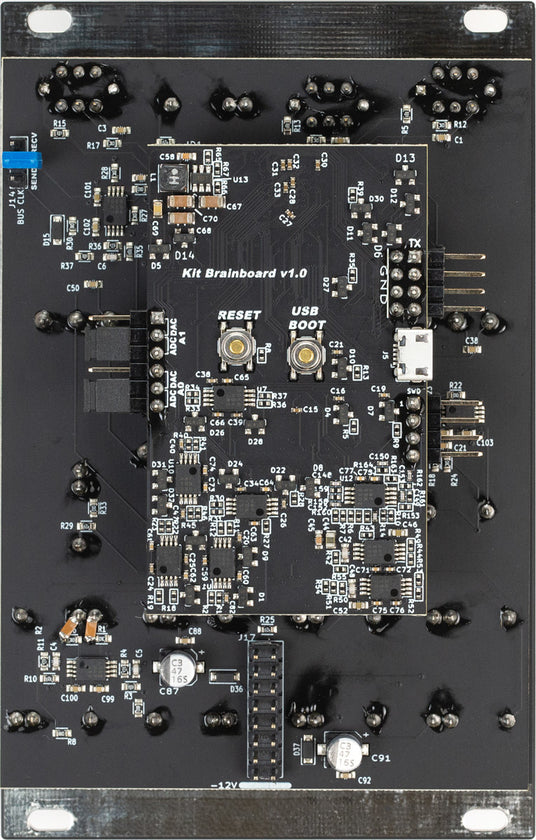 4ms Looping Delay [LD]