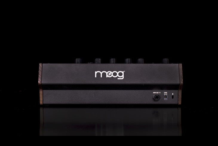 Moog DFAM Back